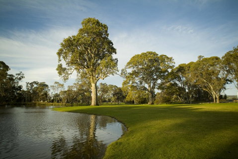 Serafino McLaren Vale - Hotel QLD 16