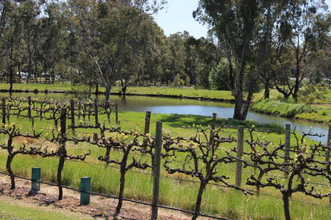 OXENBERRY FARM - Hotel QLD 19
