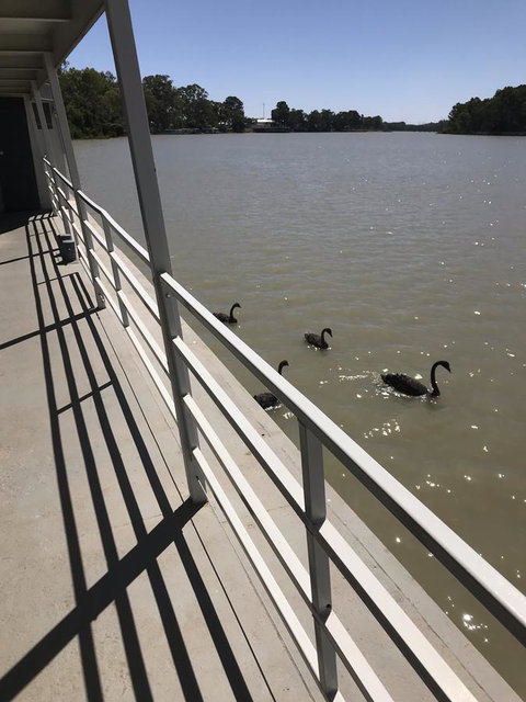 Murray River Queen - Hotel QLD 7