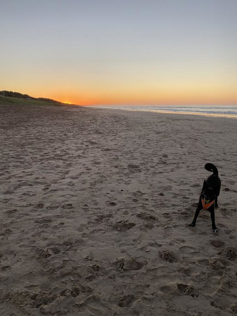 Goolwa Marinerâ€™s Cottage - Free Wifi And Pet Friendly - Centrally Located In Historic Region - Hotel QLD 27