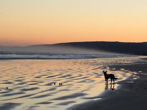 Goolwa Marinerâ€™s Cottage - Free Wifi And Pet Friendly - Centrally Located In Historic Region - Hotel QLD 35