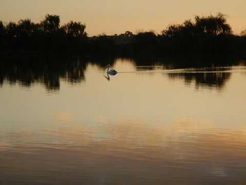 Washpool Retreat - Hotel QLD 25