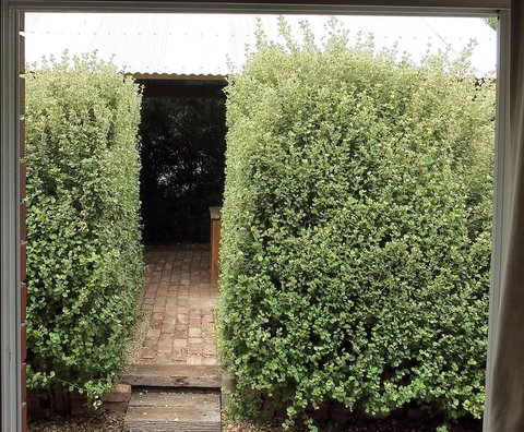 A2@Port Willy - Hotel QLD 13