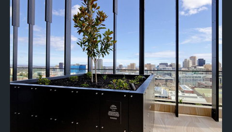 ONE Adelaide CBD - Hotel QLD 33