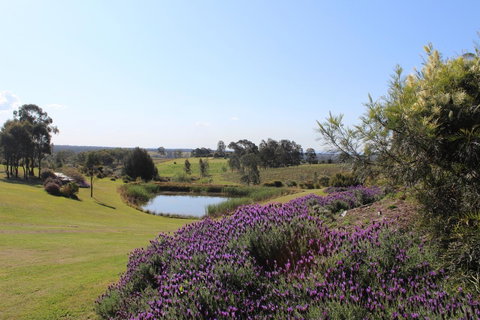 Beltana Villas - Hotel QLD 7