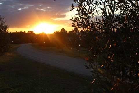 Beltana Villas - Hotel QLD 26