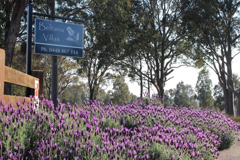 Beltana Villas - Hotel QLD 10