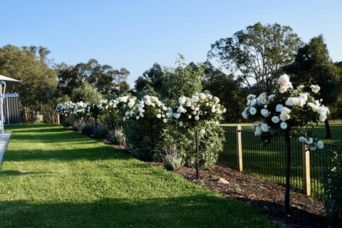 Beltana Villas - Hotel QLD 2