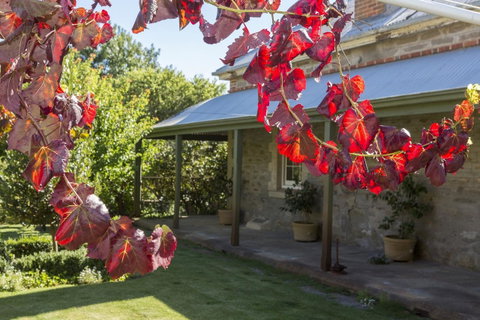 Grand Cru Estate Homestead - Hotel QLD 1