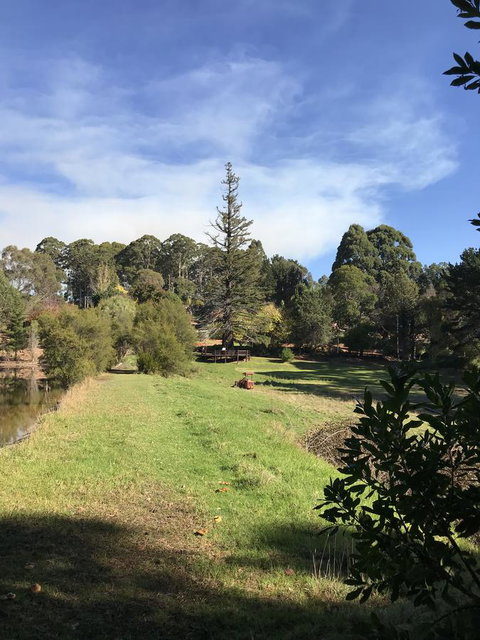 Forest Lodge Resort - Hotel QLD 31