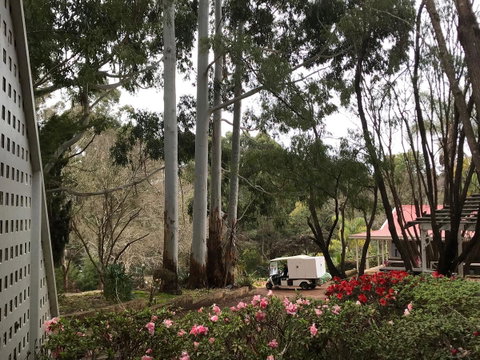 Forest Lodge Resort - Hotel QLD 11