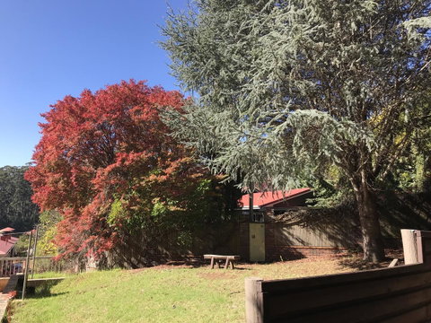 Forest Lodge Resort - Hotel QLD 42