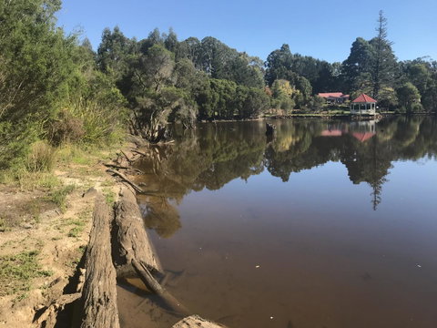 Forest Lodge Resort - Hotel QLD 23