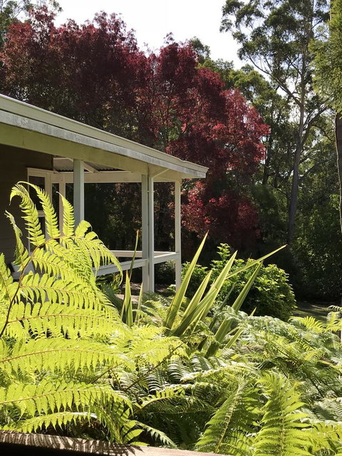 Forest Lodge Resort - Hotel QLD 14