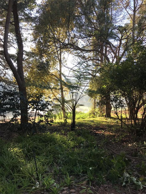 Forest Lodge Resort - Hotel QLD 33