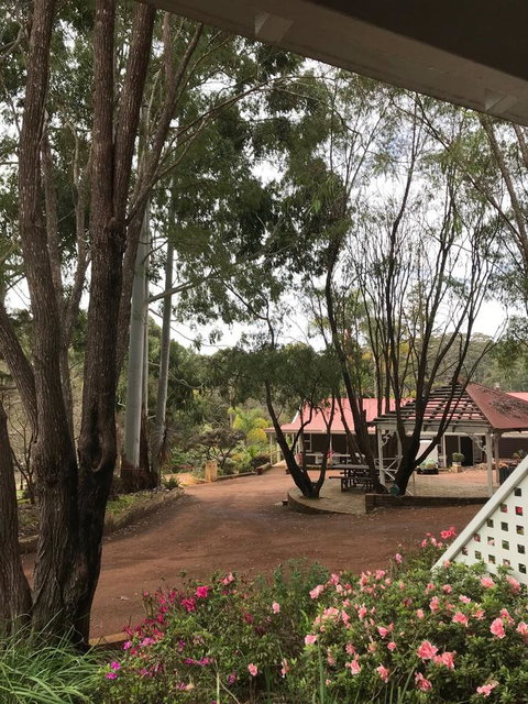 Forest Lodge Resort - Hotel QLD 9