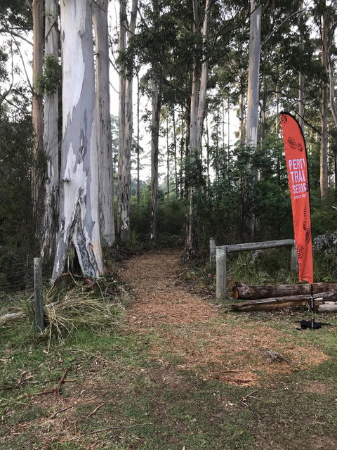 Forest Lodge Resort - Hotel QLD 28