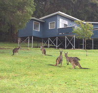 Blue House Denmark - Hotel QLD