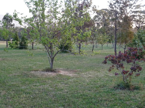 Romanz In The Valley (Luxury B&B) - Hotel QLD 32