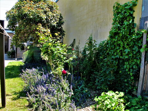 Apple Tree Cottage - Hotel QLD 24