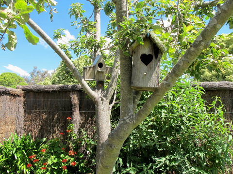 Apple Tree Cottage - Hotel QLD 28