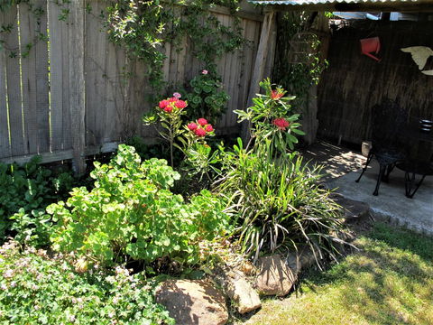 Apple Tree Cottage - Hotel QLD 26