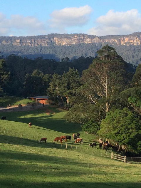 Amaroo Valley Springs - Hotel QLD 0