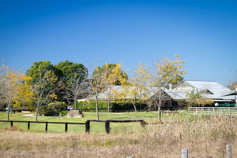 Potters Apartments - Hotel QLD 26