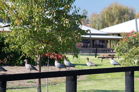 Potters Apartments - Hotel QLD 25