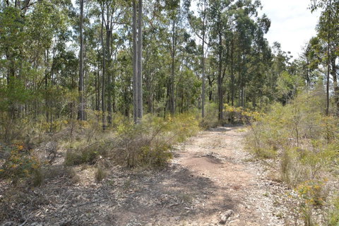 JE Guesthouse, Central To All The Hunter Valley Has To Offer - Hotel QLD 44