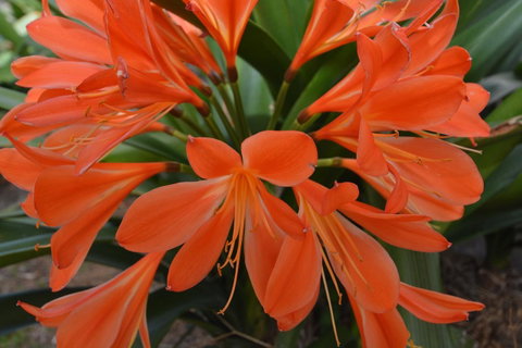 JE Guesthouse, Central To All The Hunter Valley Has To Offer - Hotel QLD 39