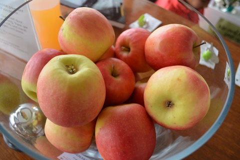 The Apple Inn - Hotel QLD 12