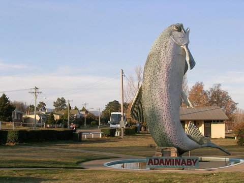 Cooma Motor Lodge Motel - Hotel QLD 19