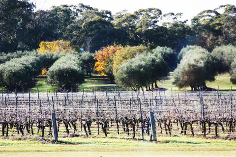 Adina Vineyard - Hotel QLD 15