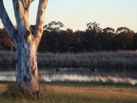 Adina Vineyard - Hotel QLD 10
