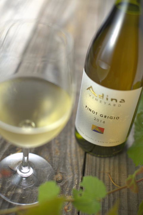 Adina Vineyard - Hotel QLD 7