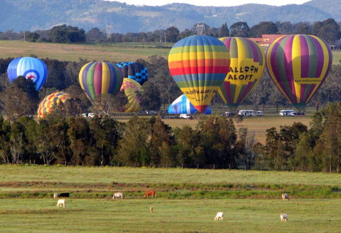 Adina Vineyard - Hotel QLD 9