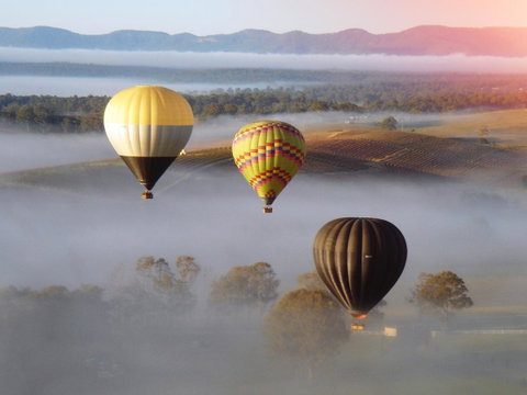 Adina Vineyard - Hotel QLD 21