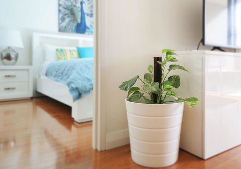 Sydney Apartment Close To Airport & CBD - Hotel QLD 7