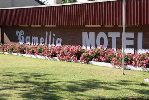 Camellia Motel - Hotel QLD 2