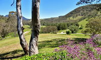 Book Capertee Accommodation Vacations Hotel QLD Hotel QLD