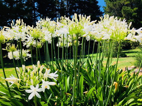 Carawah Ridge - Hotel QLD 1