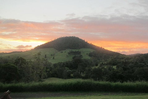 CBR Equine Cottage - Hotel QLD 1