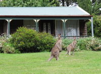 Book Mount Victoria Accommodation Vacations Hotel QLD Hotel QLD