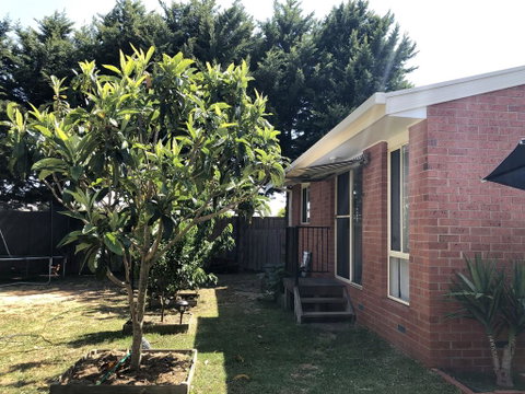 Charlie Sweet Home At Mornington Peninsula - Hotel QLD 1