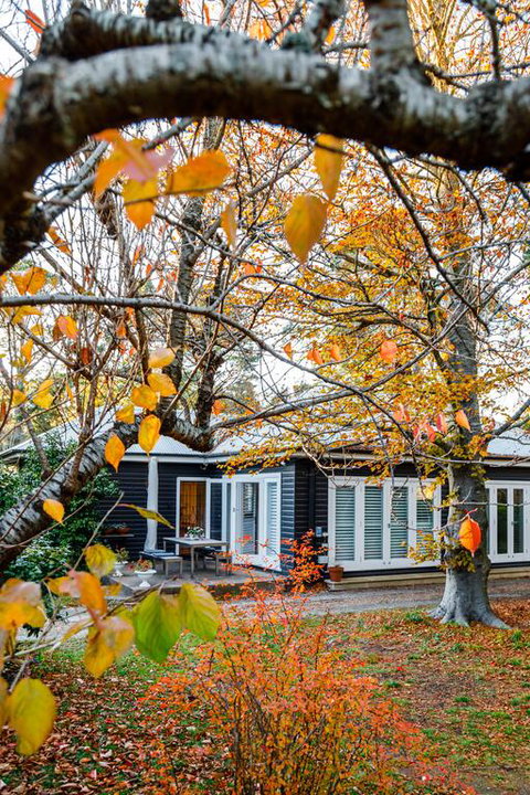 Charming Mountain Cottage - Hotel QLD 3