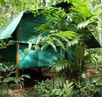 Daintree Crocodylus - Hotel QLD