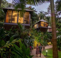 Daintree Ecolodge - Hotel QLD