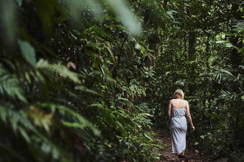 Daintree Ecolodge - Hotel QLD 2