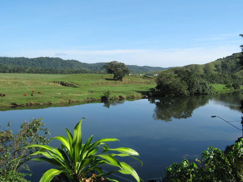 Daintree Riverview Lodges - Hotel QLD 0
